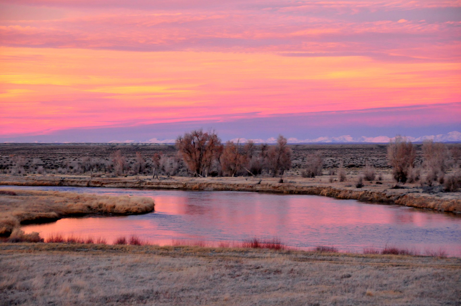 5. Wyoming