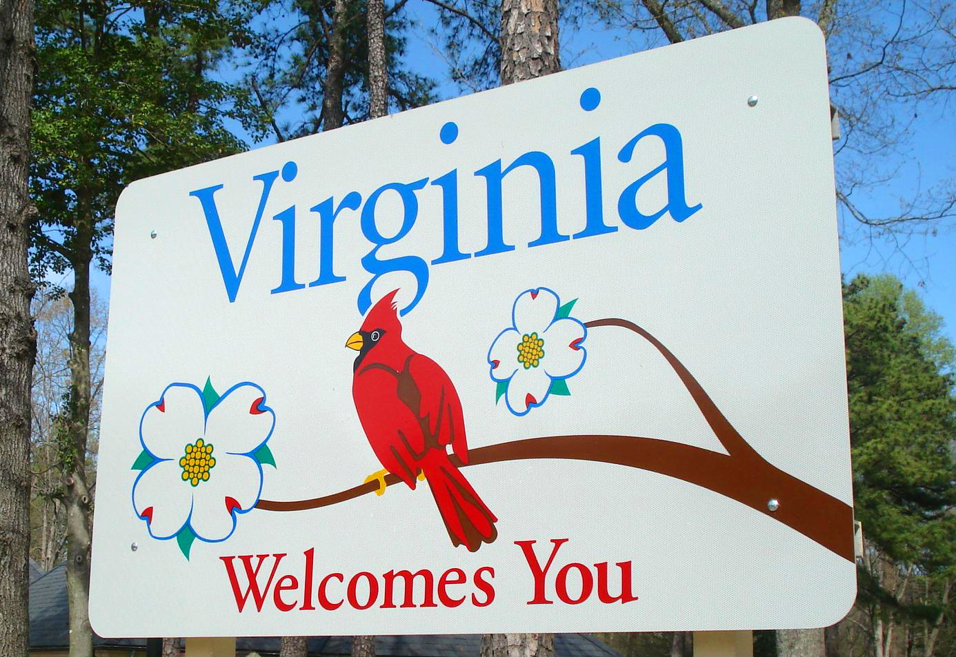 17. Virginia