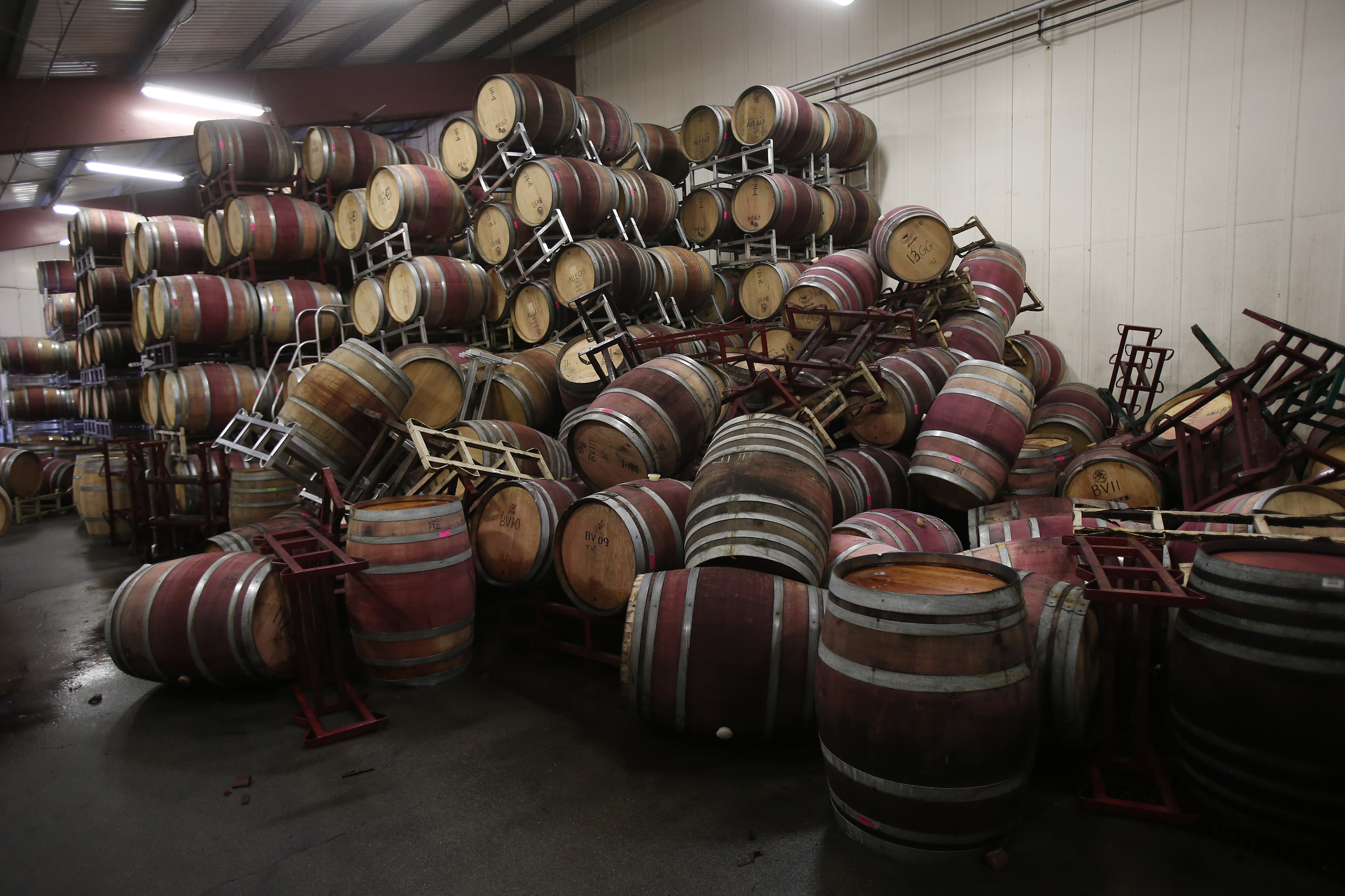 Fallen wine barrels are seen at Bouchaine Vineyards after a 6.0 earthquake in Napa