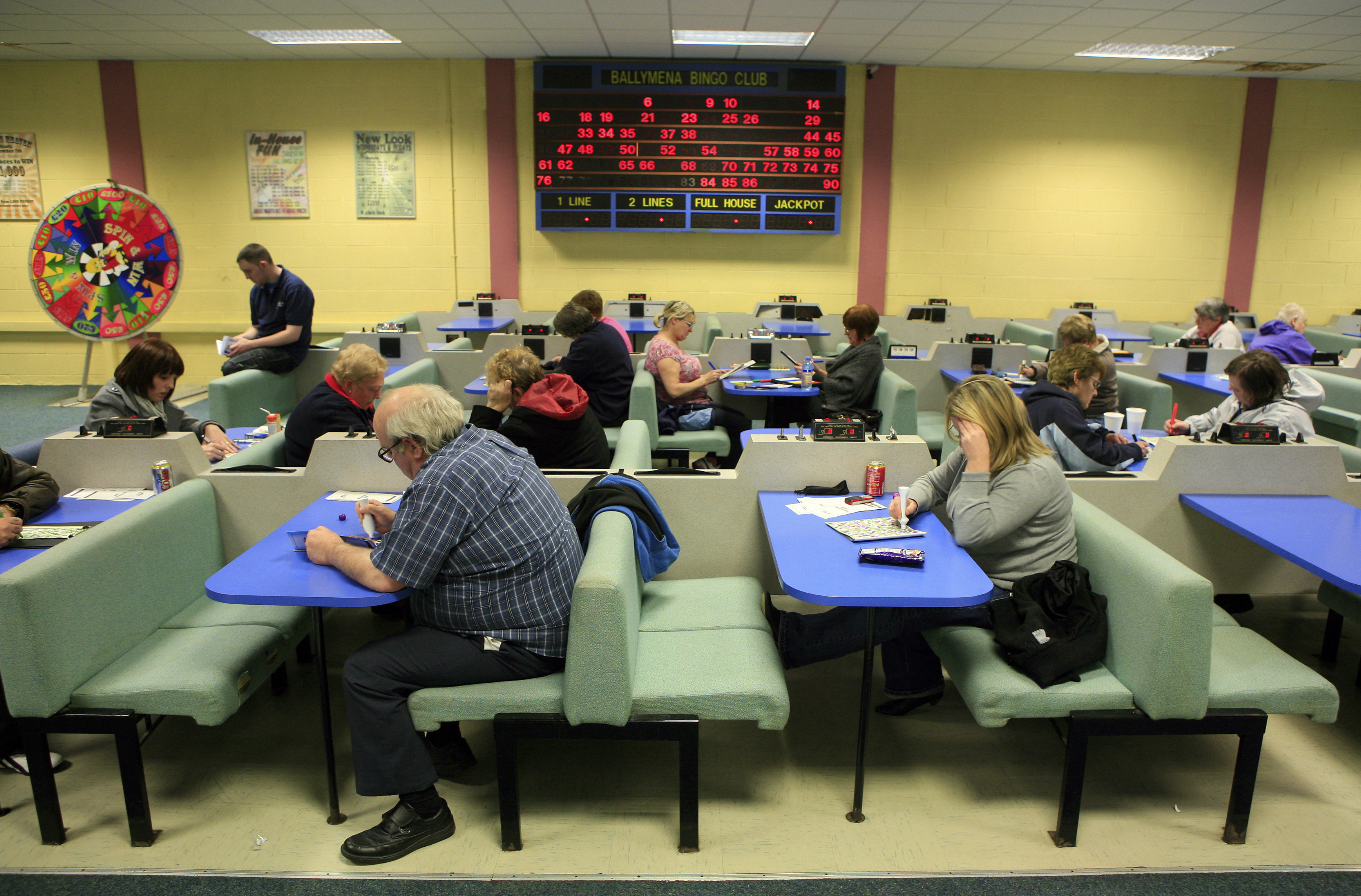 Bingo Losses