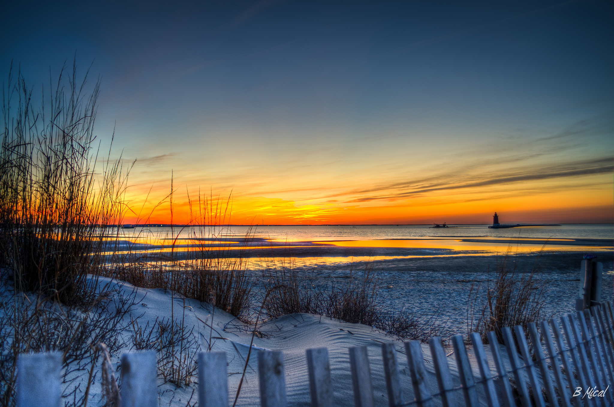 Cape Henlopen State Park, Delaware