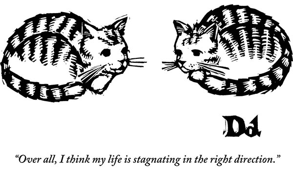 “Over all, I think my life is stagnating in the right direction.”