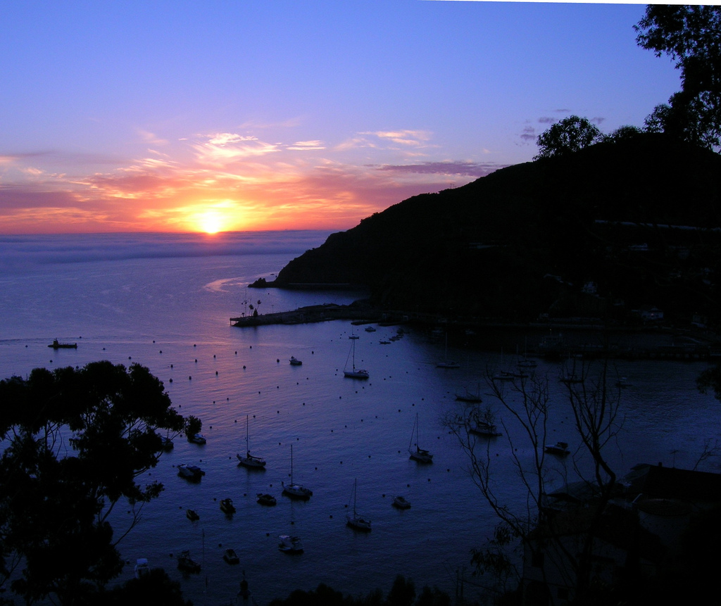 Catalina Island, California