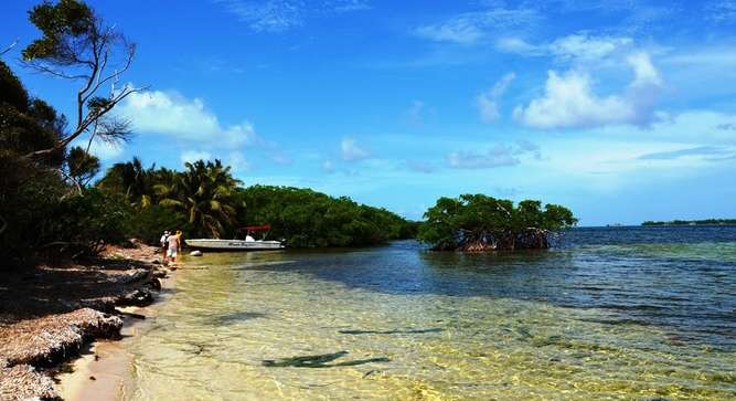 Cockroach Bay, Belize