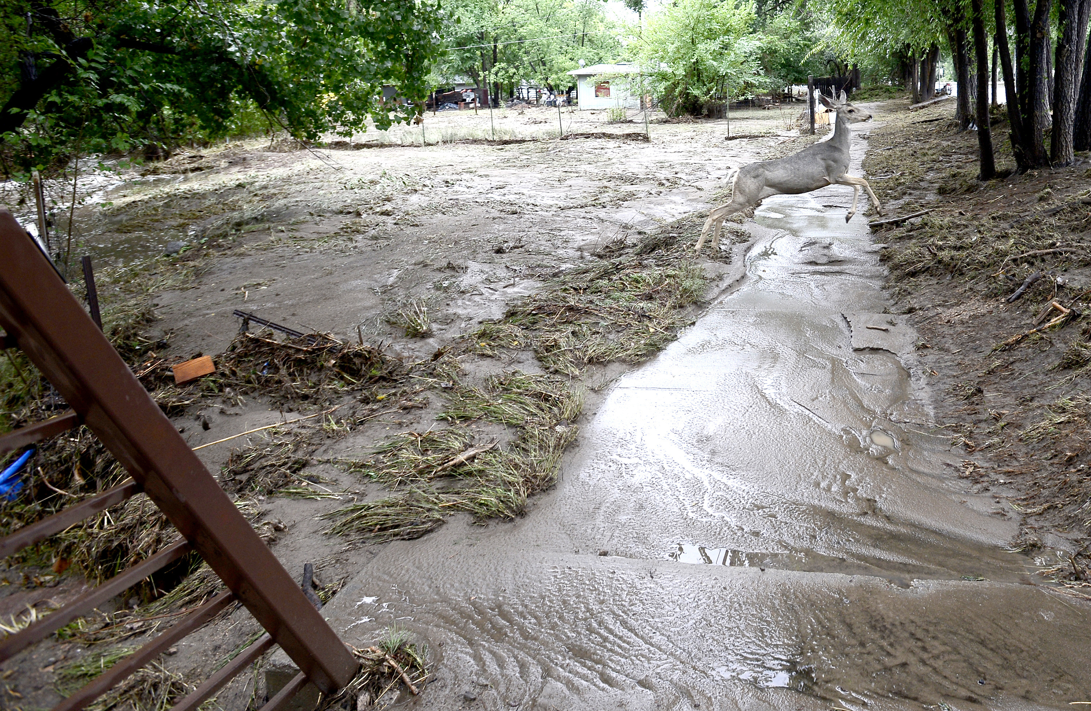 Colorado floods