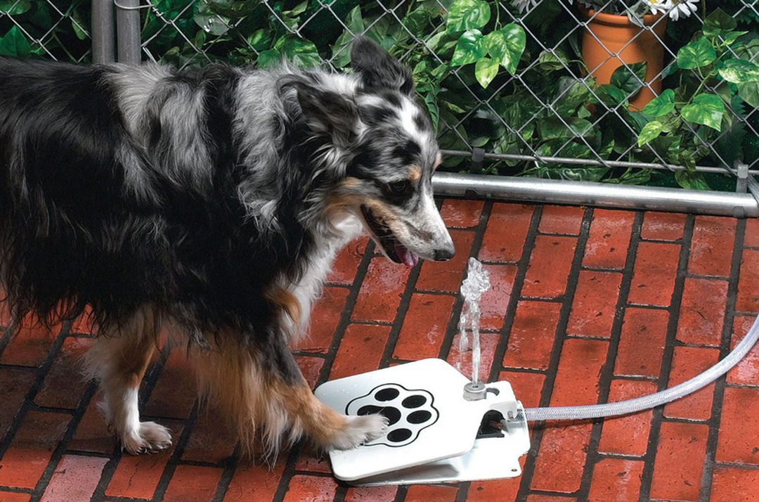 PawPrince Automatic Dog Waterer - $156.29