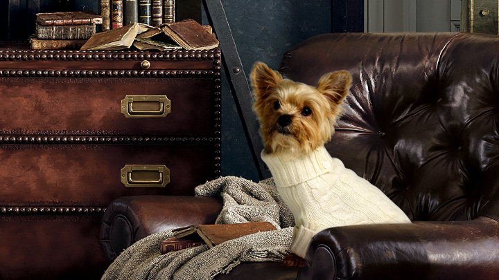 Cabled Cashmere Dog Sweater - $66.50