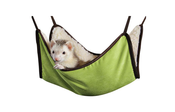 Ferret Hammocks - $7.99