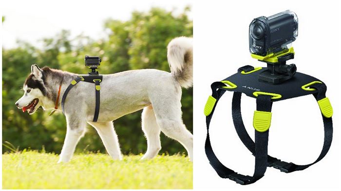 Sony Action Camera Mount for Dogs - $34.99