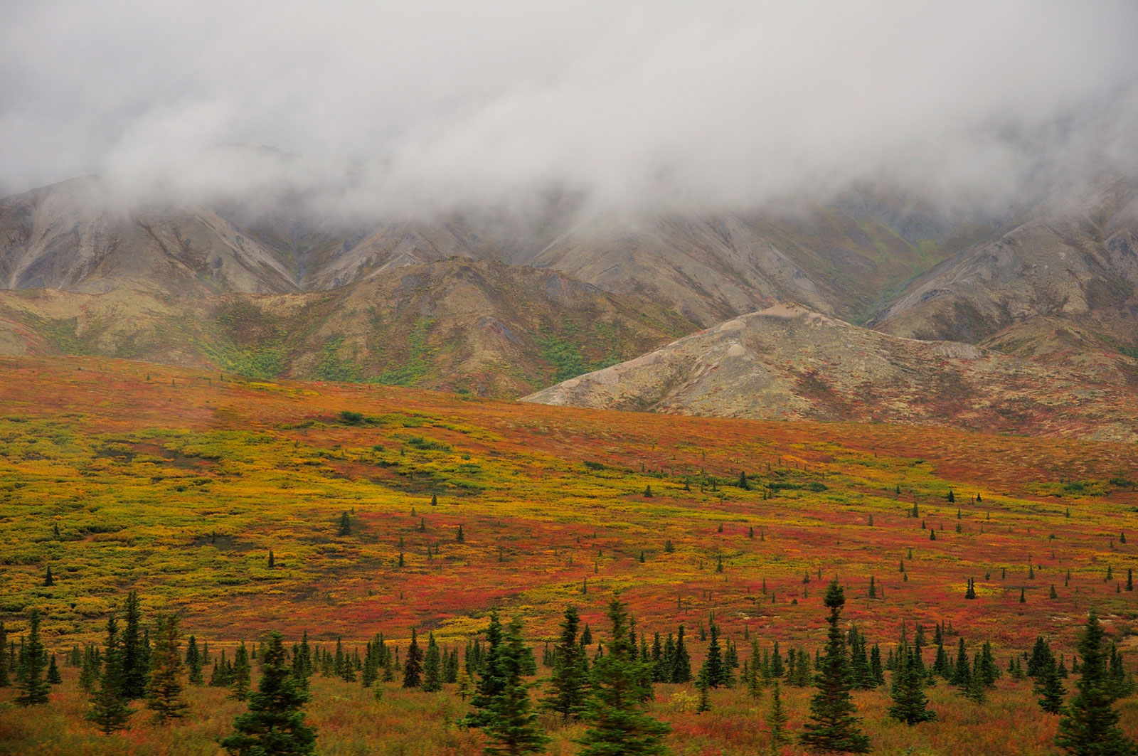 Fall in Denali