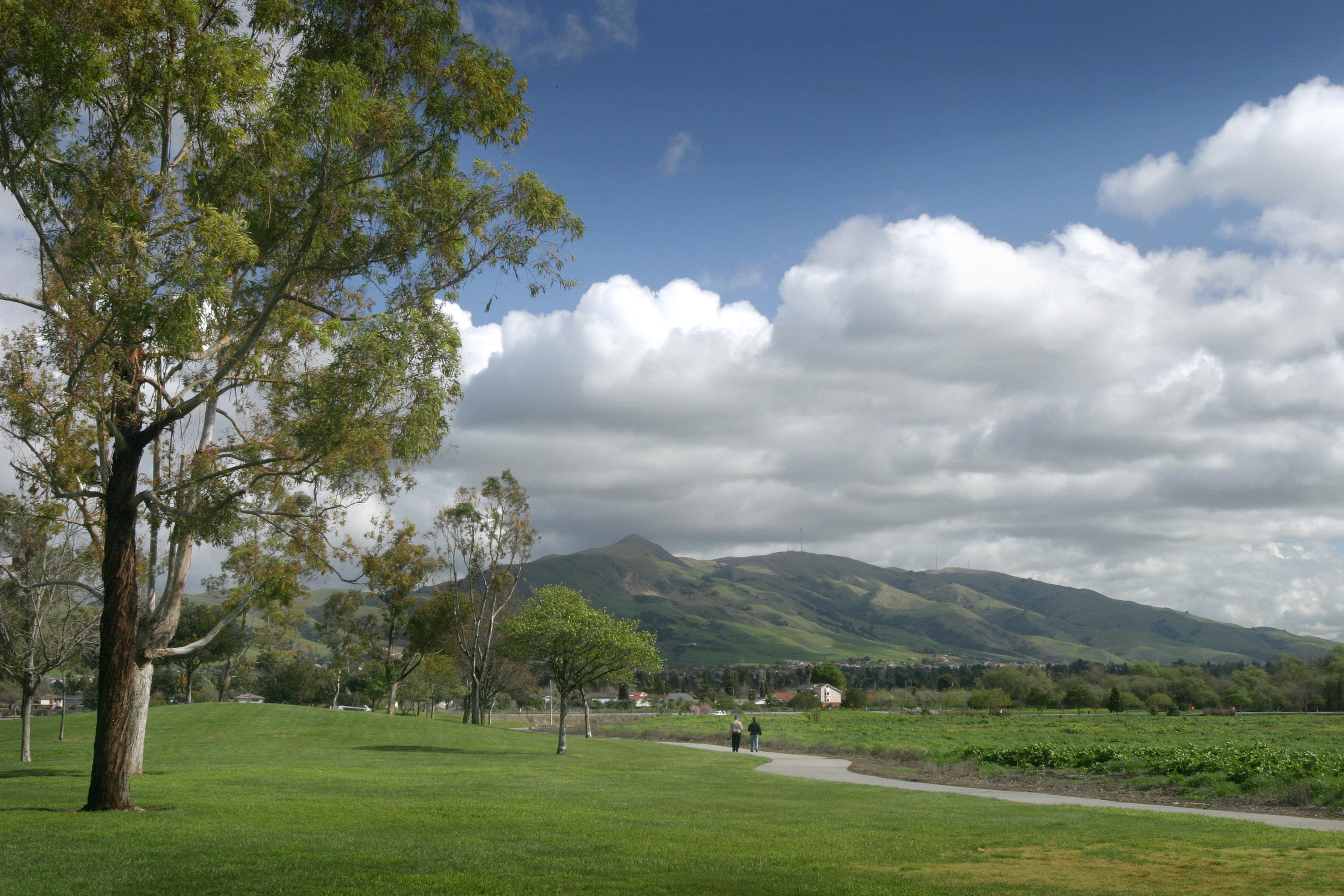 5) Fremont, California