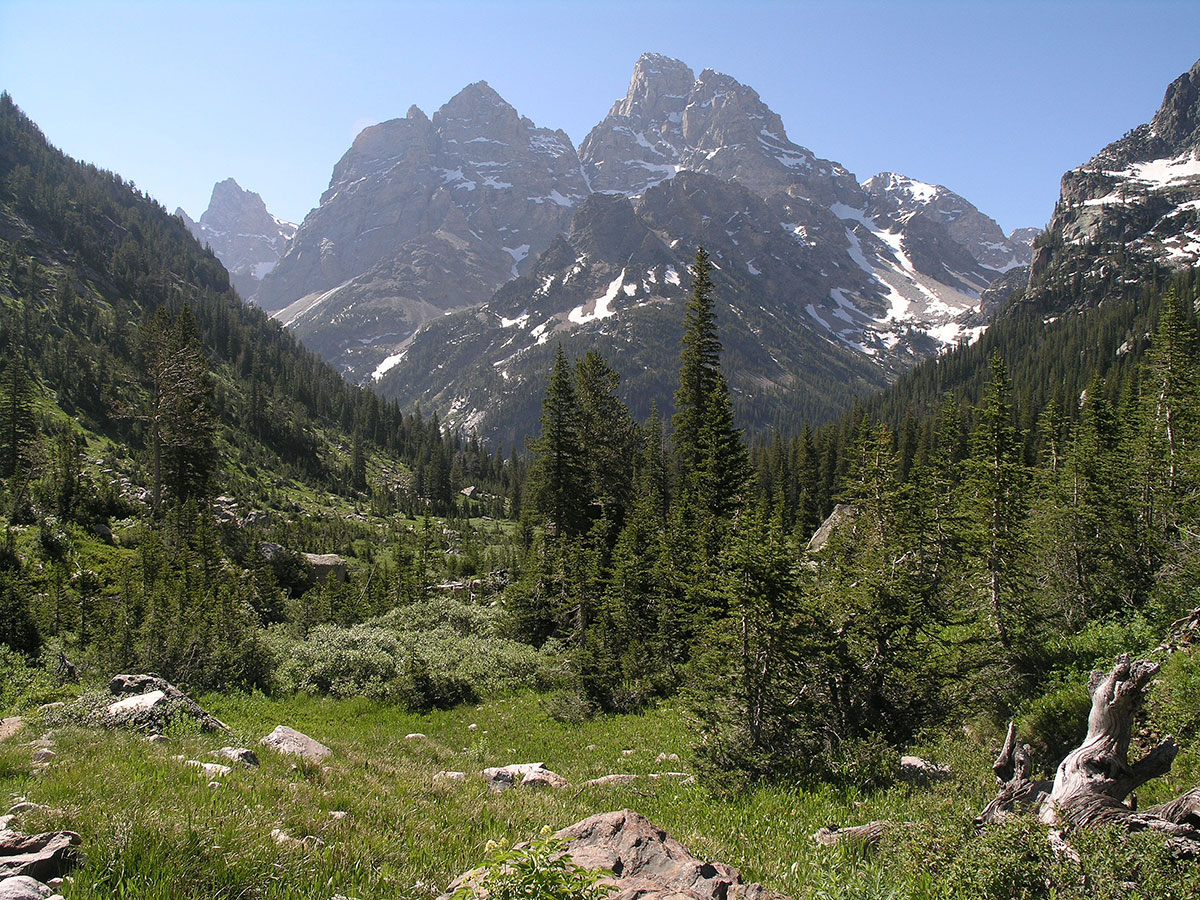 Grand Teton