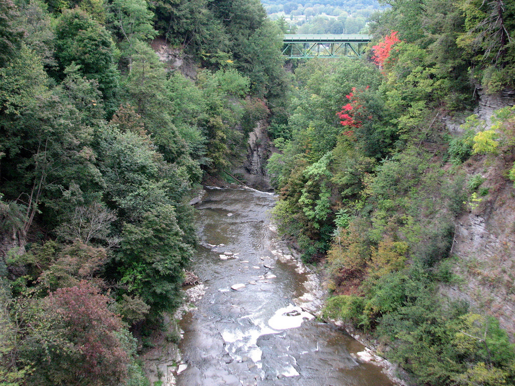 Ithaca, NY