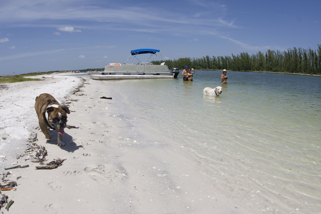 Keewaydin Island, Florida