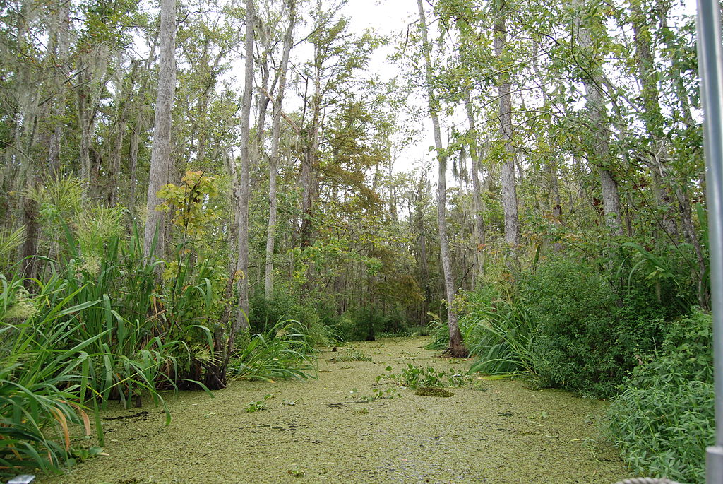 Louisiana