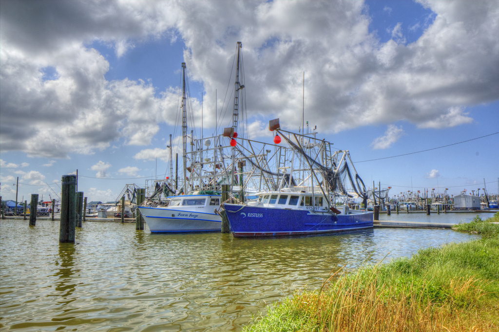 37. Louisiana