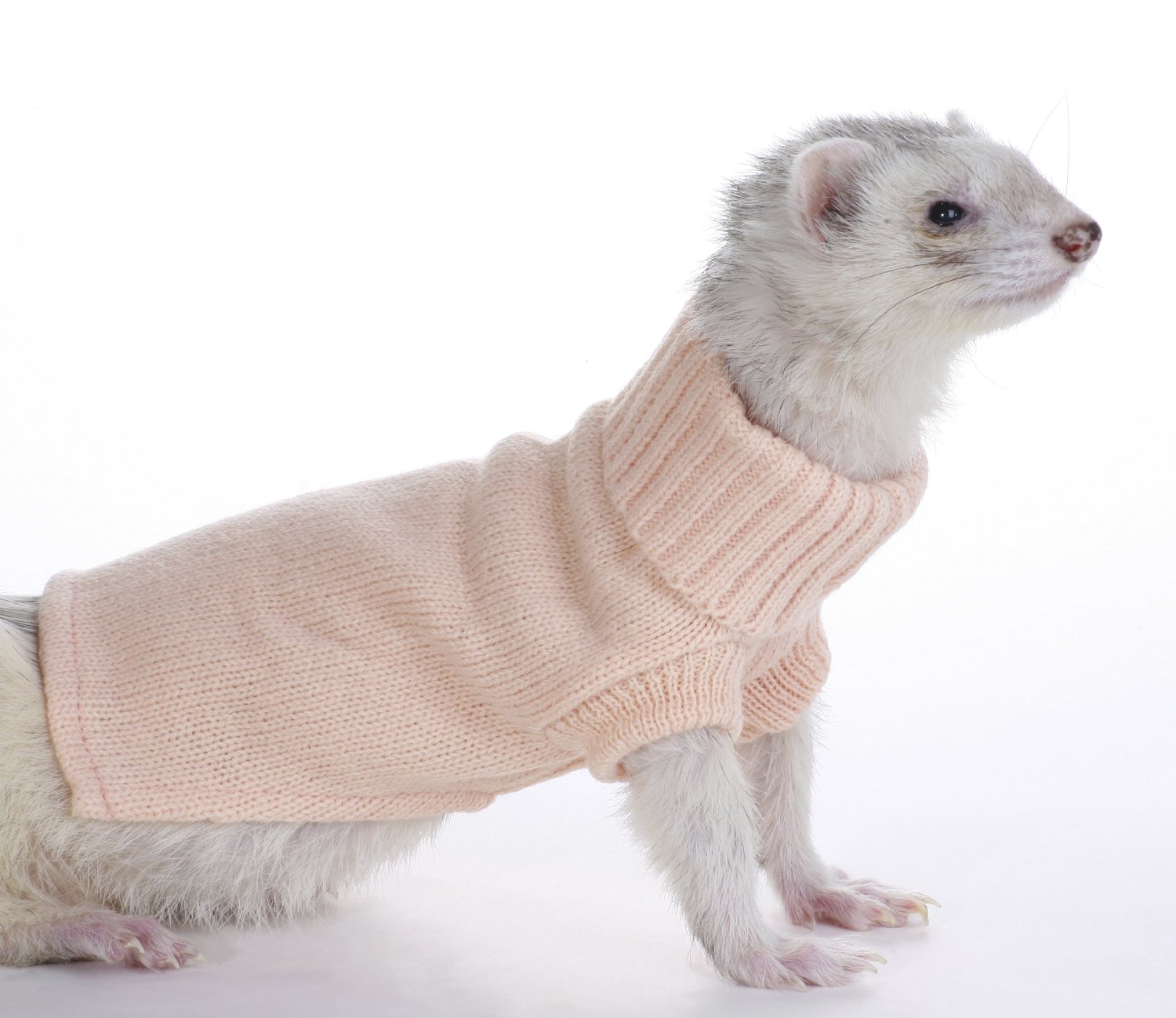 Marshall Ferret Sweater - $6.74