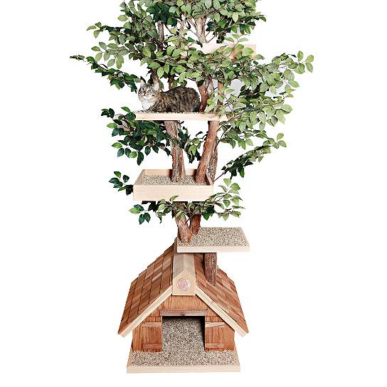 Mature Cat Tree House - $1,500