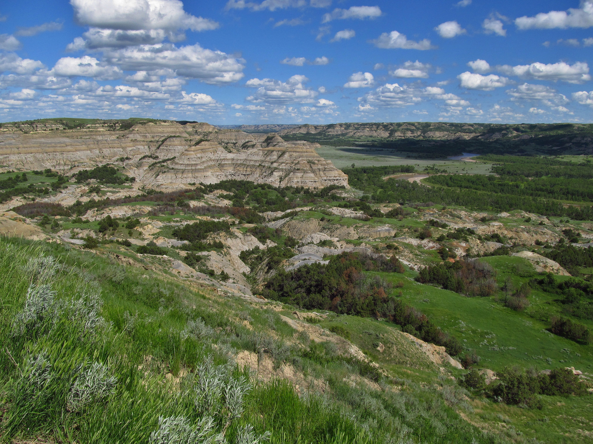 9) North Dakota