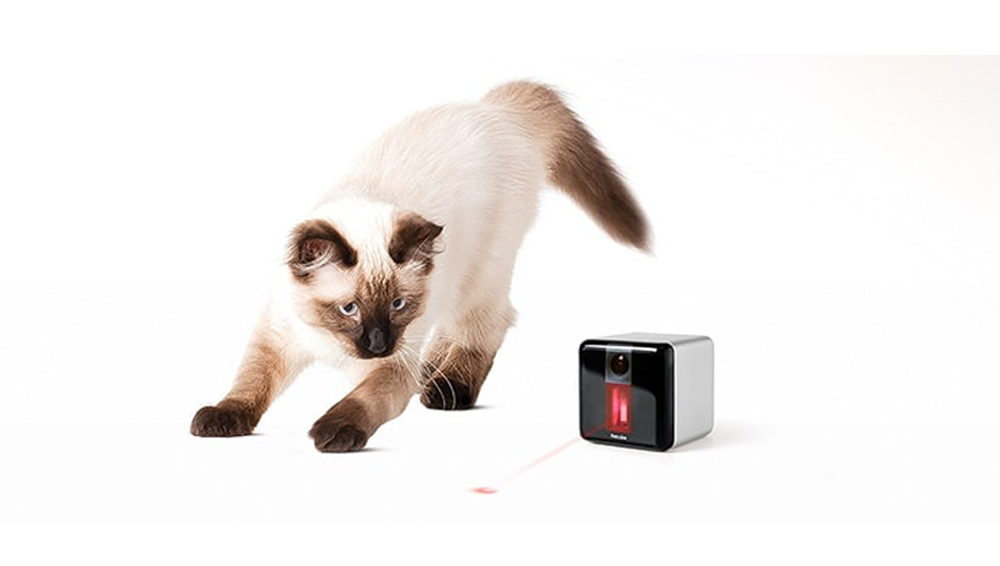 Petcube Play - $179