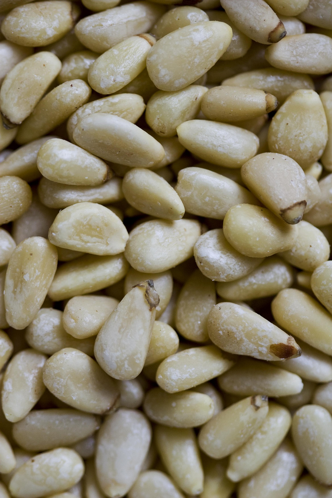 Pine Nuts