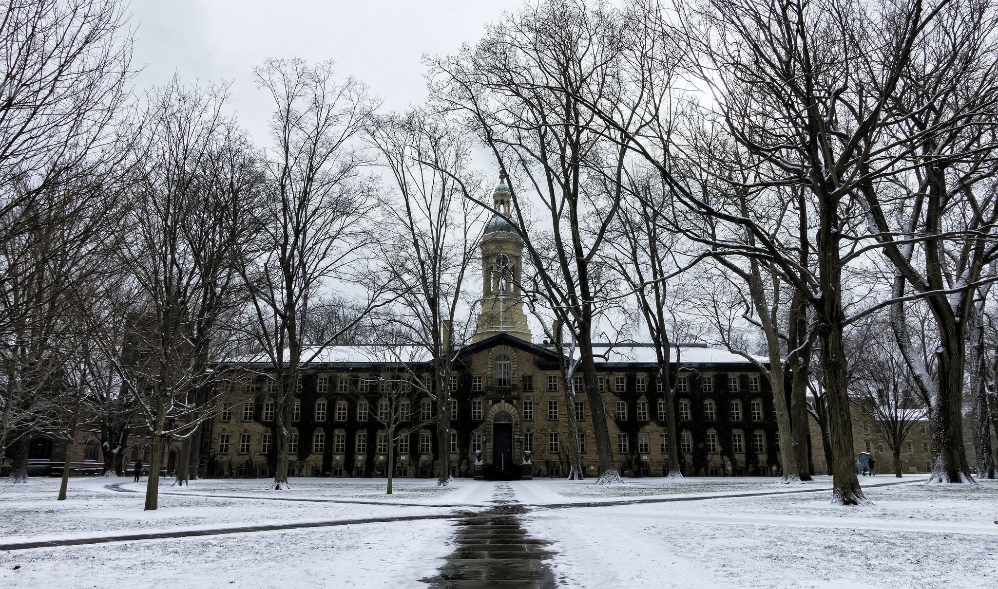 Princeton University