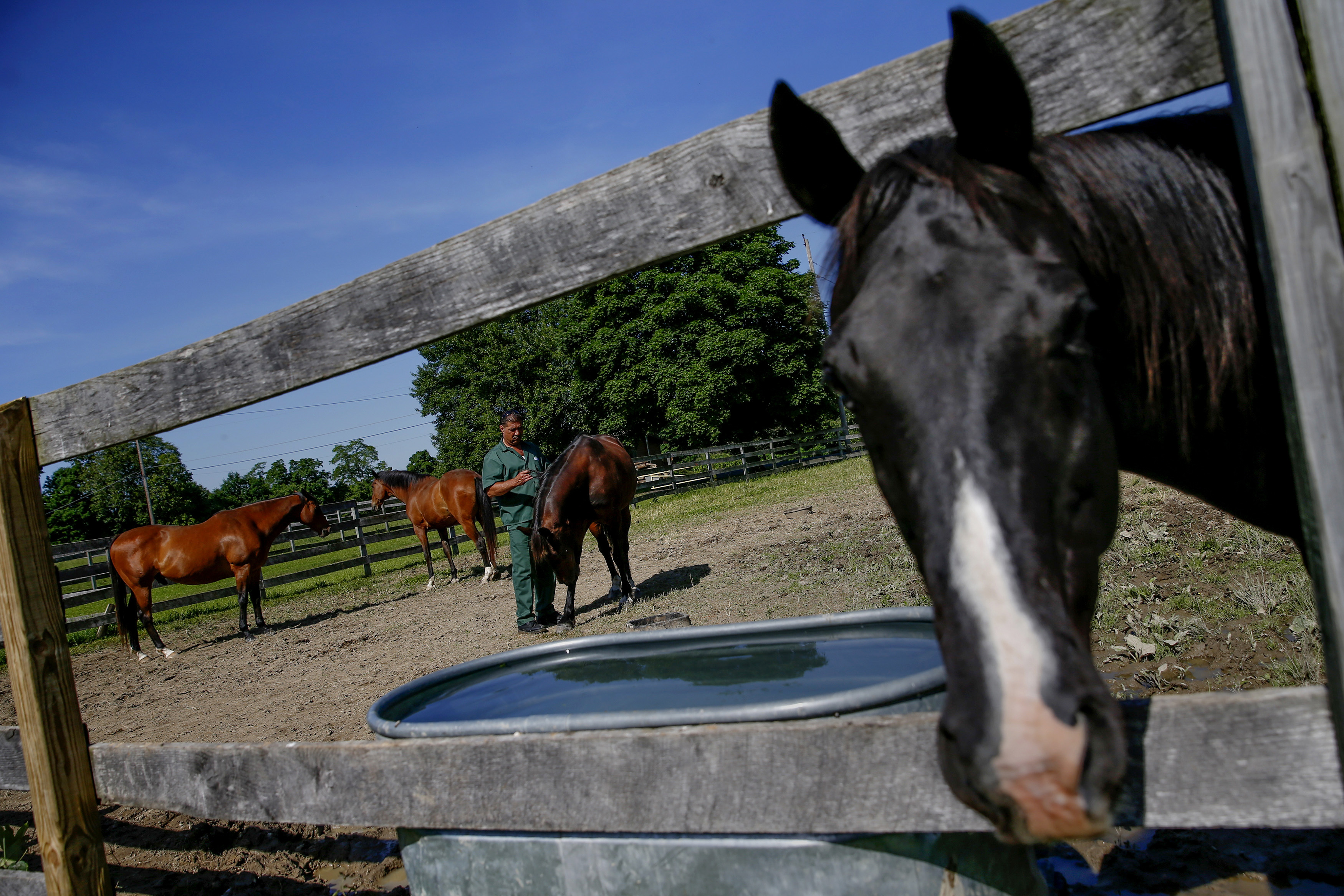 10. Animal Breeders