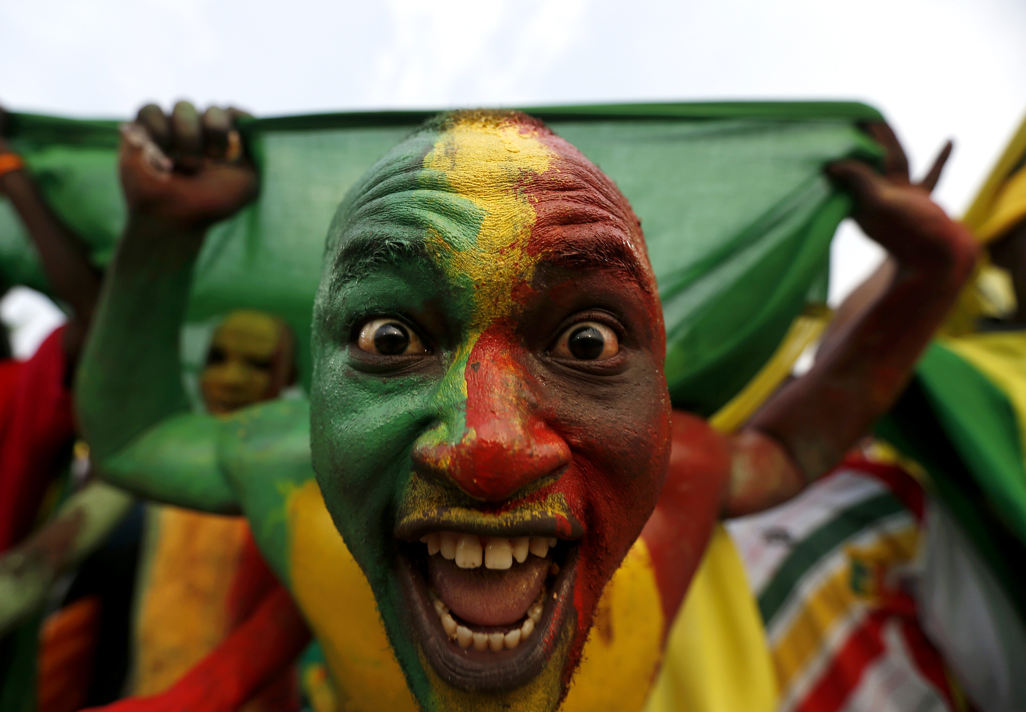 A Mali supporter painted in the colours of the country's national flag cheers as the team arrives to warm up before their African Cup of Nations soccer match against Guinea in Mongomo