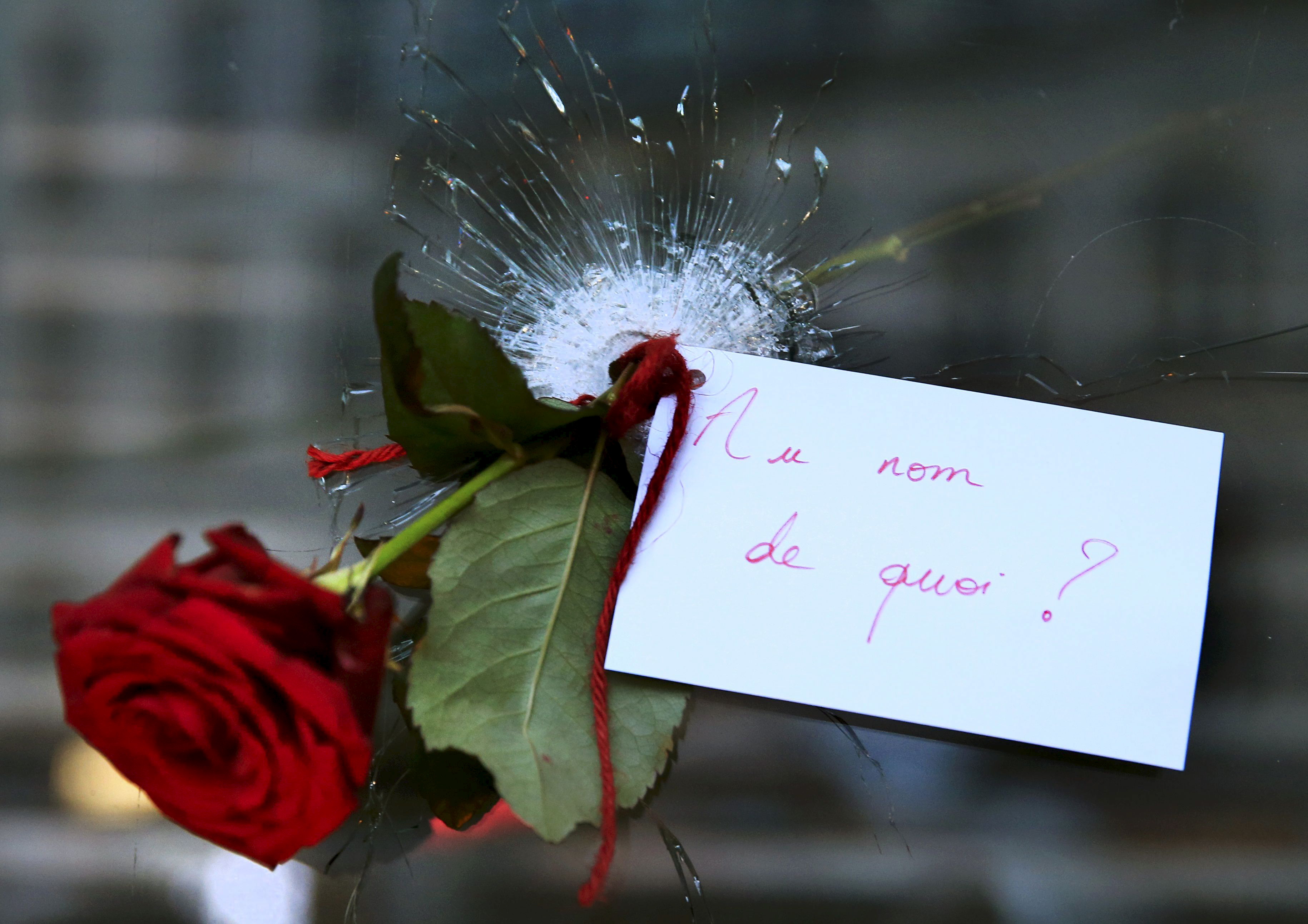 A rose placed in a bullet hole in a restaurant window the day after a series of deadly attacks in Paris 