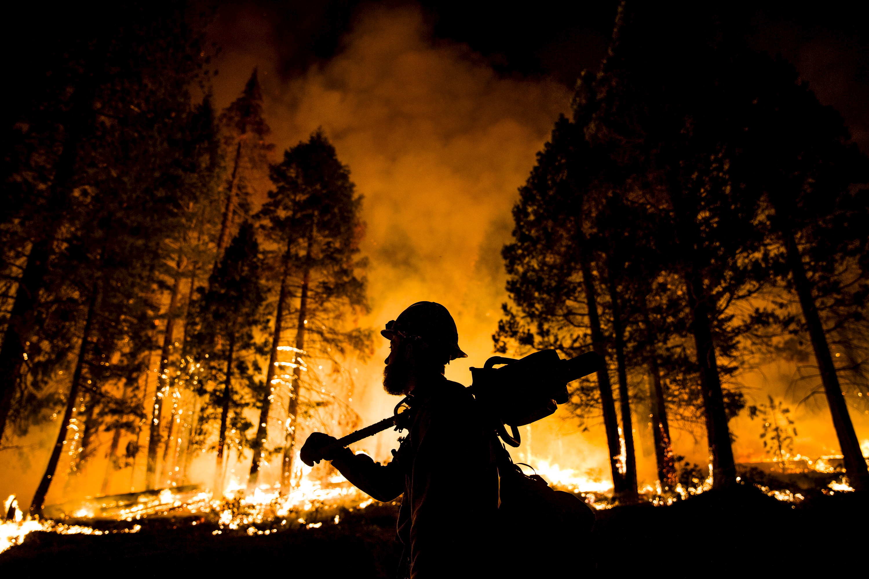 Los Padres National Forest firefighter Jameson Springer watches a controlled burn on the so-called "Rough Fire" in the Sequoia National Forest, California.