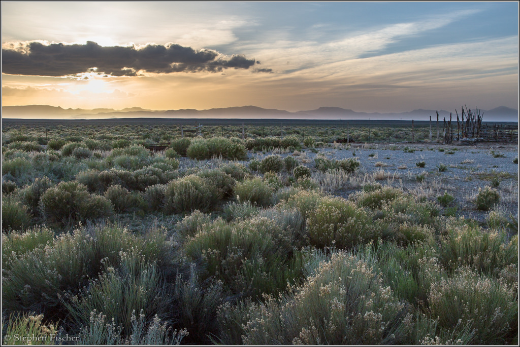 Rural Nevada (Churchill, Elko, Eureka, Humboldt, Lander, Mineral, Pershing and White Pine counties)