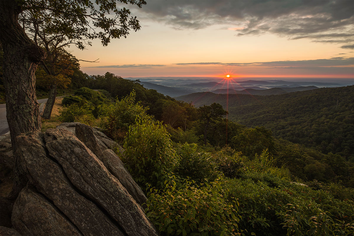 Shenandoah