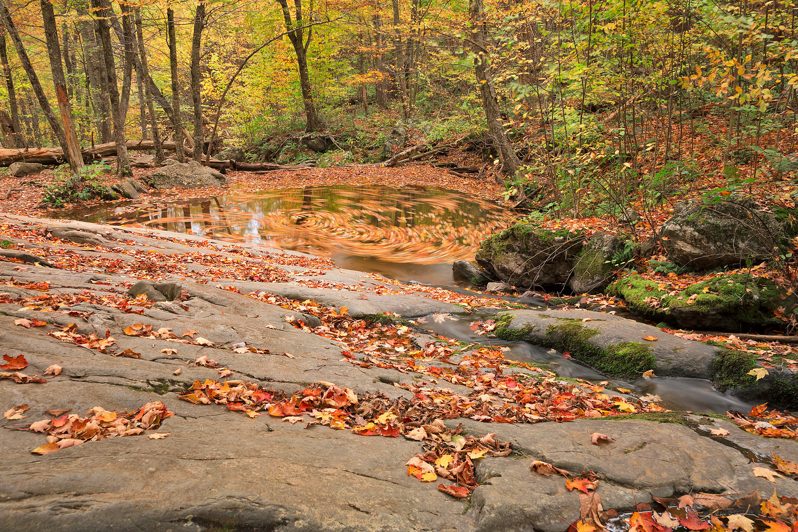 Shenandoah National Park, Virginia