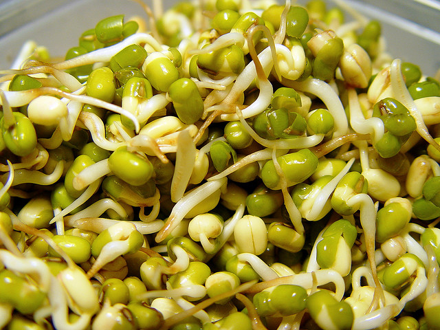 9) Sprouts