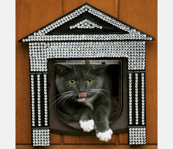 Swarovski-Studded Cat Flap