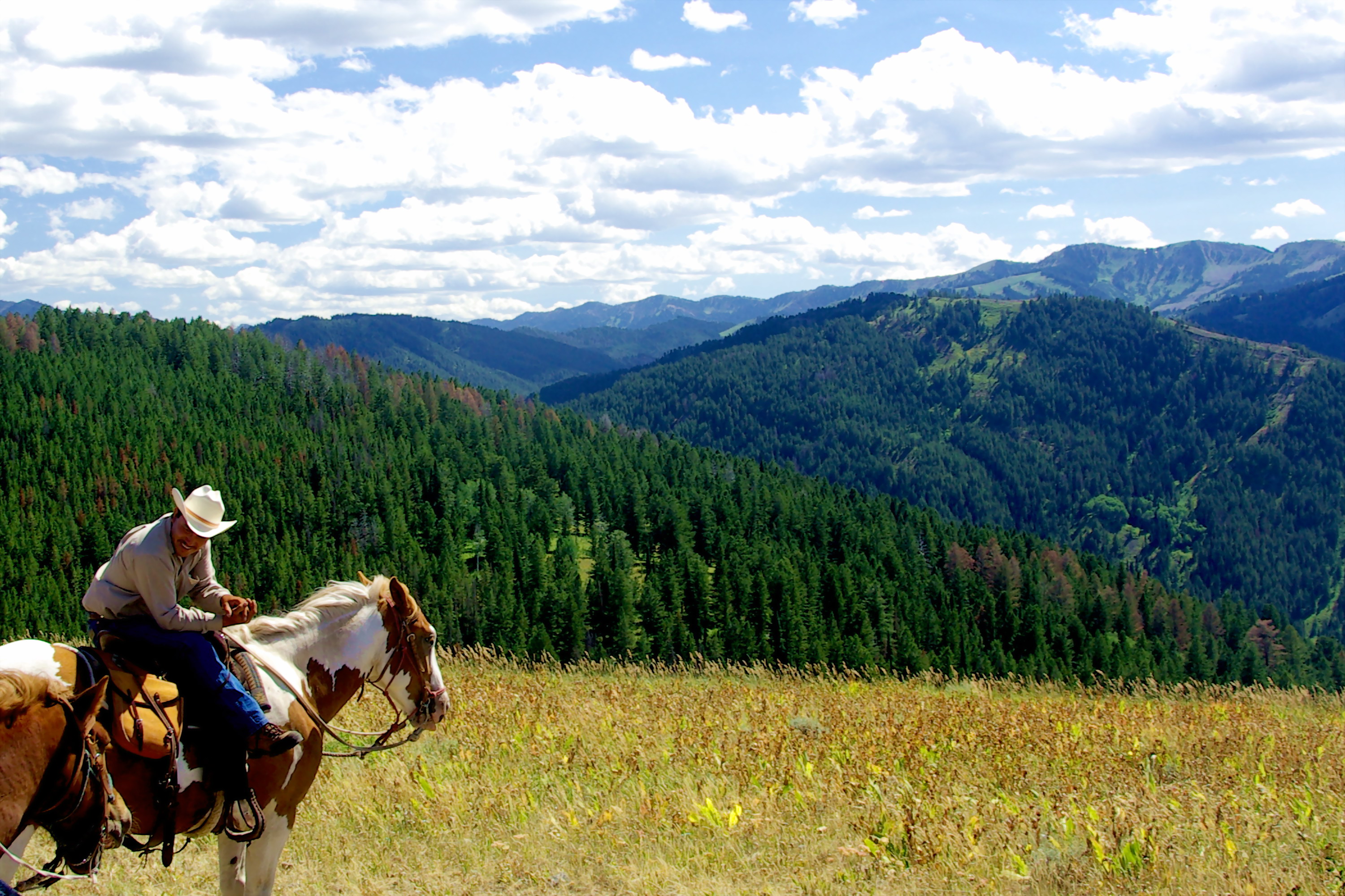 4. Wyoming