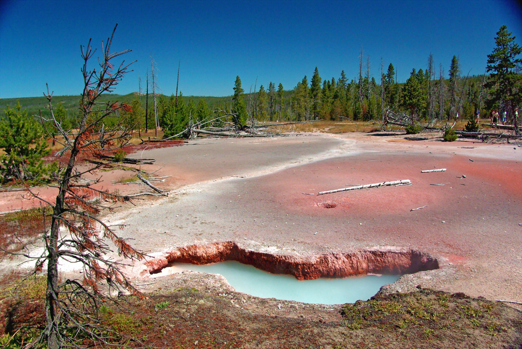 Yellowstone National Park