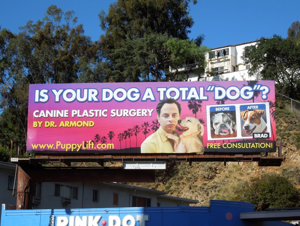 Pet Plastic Surgery 