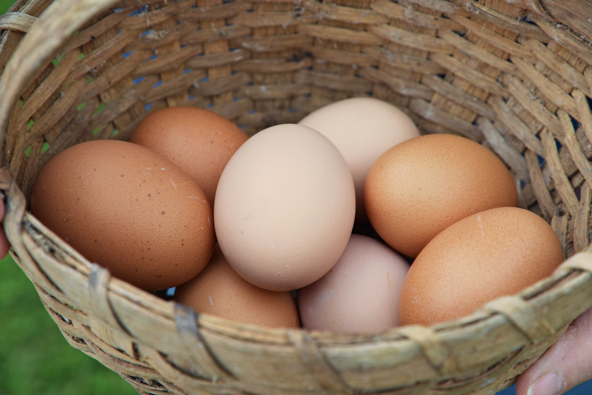 Refrigerated Fresh Eggs