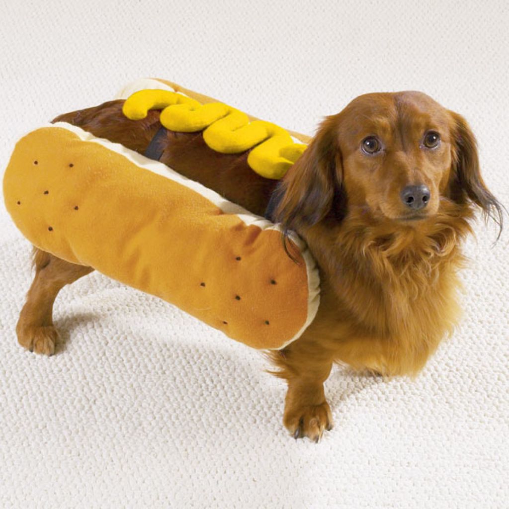 Hot Dog