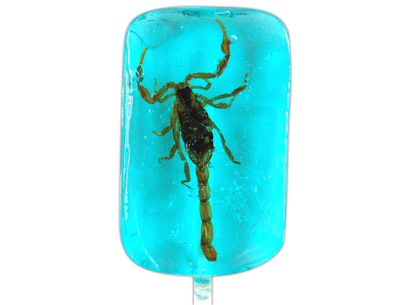 Insect lollipops