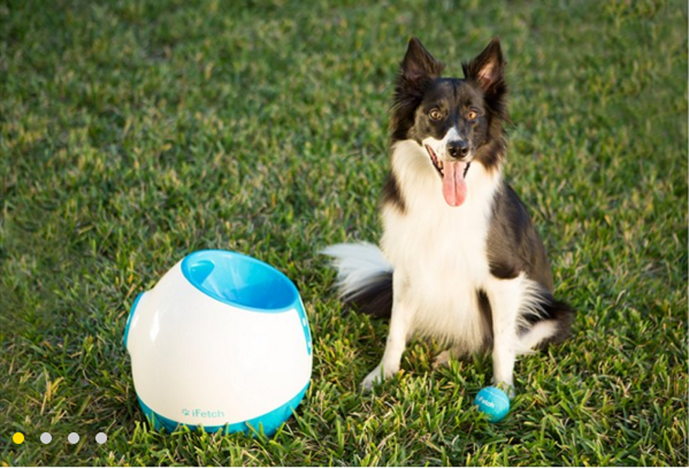 Ifetch Too Ball Launcher Dog Toy - $200