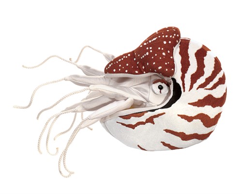 Nautilus Puppet