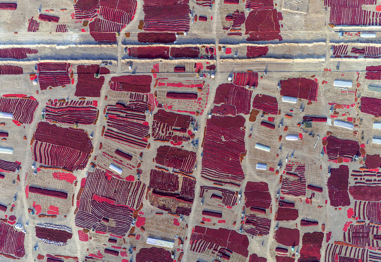 A view shows newly harvested red chili being spread out to dry in the sun in Bayingolin Mongol Autonomous Prefecture
