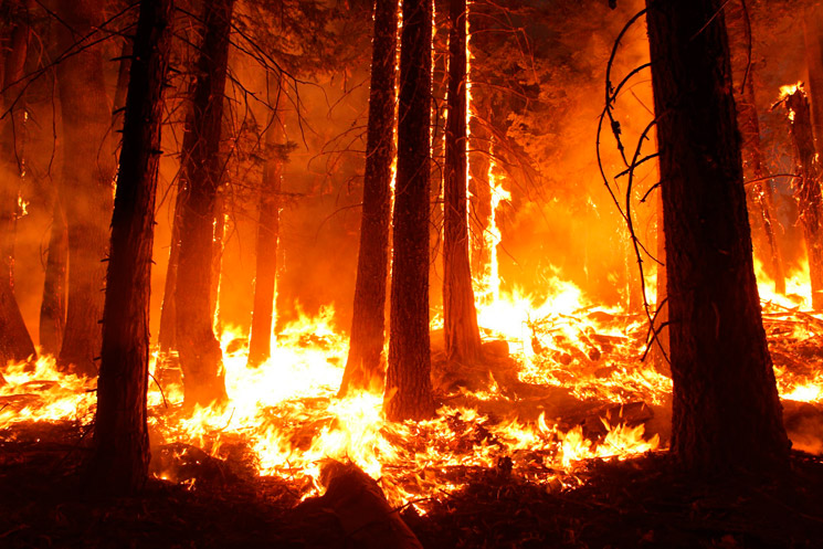 Yosemite Wildfire