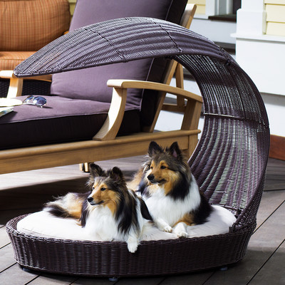 Outdoor Dog Chaise Lounge - $208