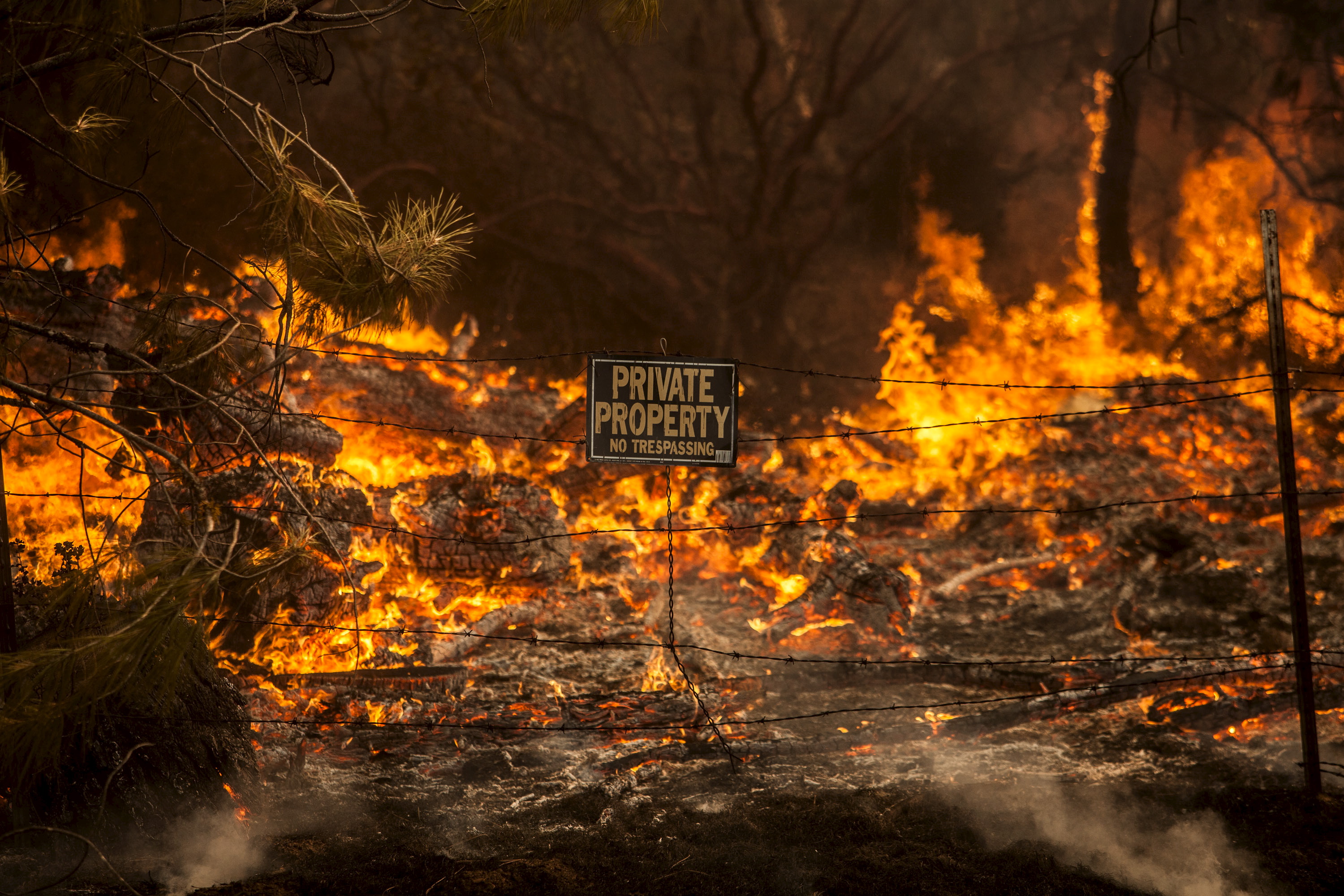 The Rocky Fire burns through a fence line in Lake County, California