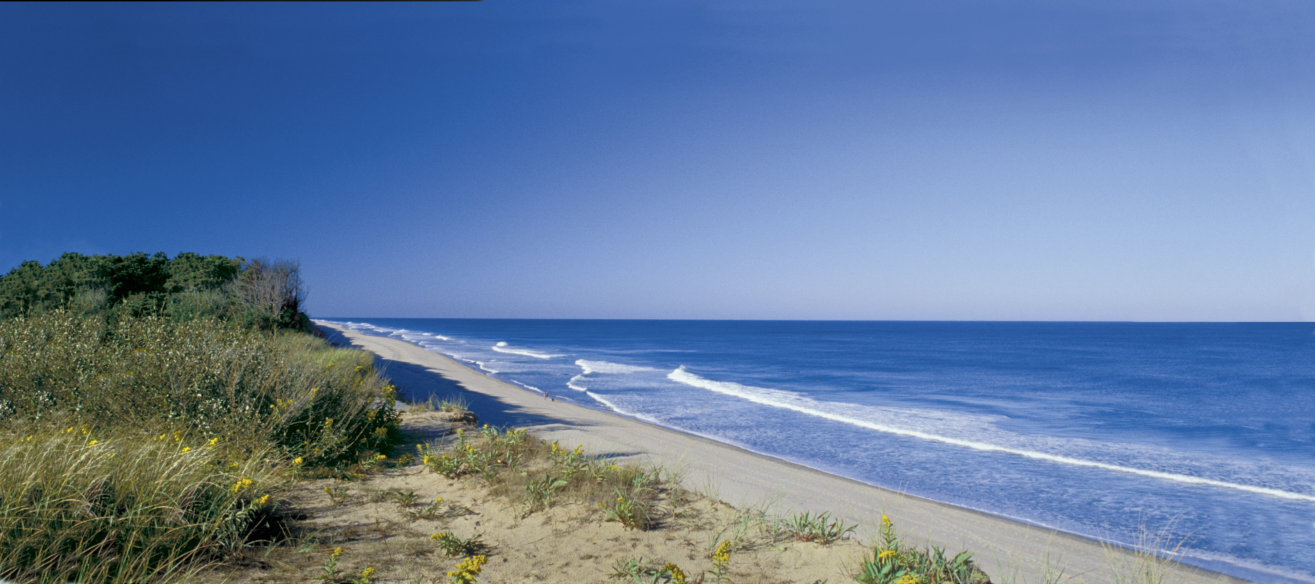 Coast Guard Beach, Cape Cod, Massachusetts