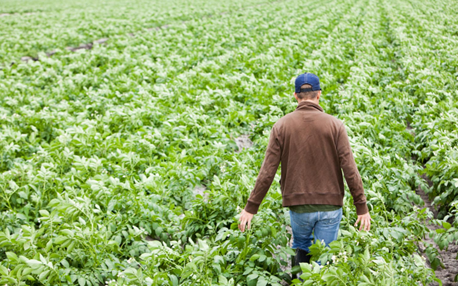 2. Farmers, Ranchers and Other Agricultural Managers