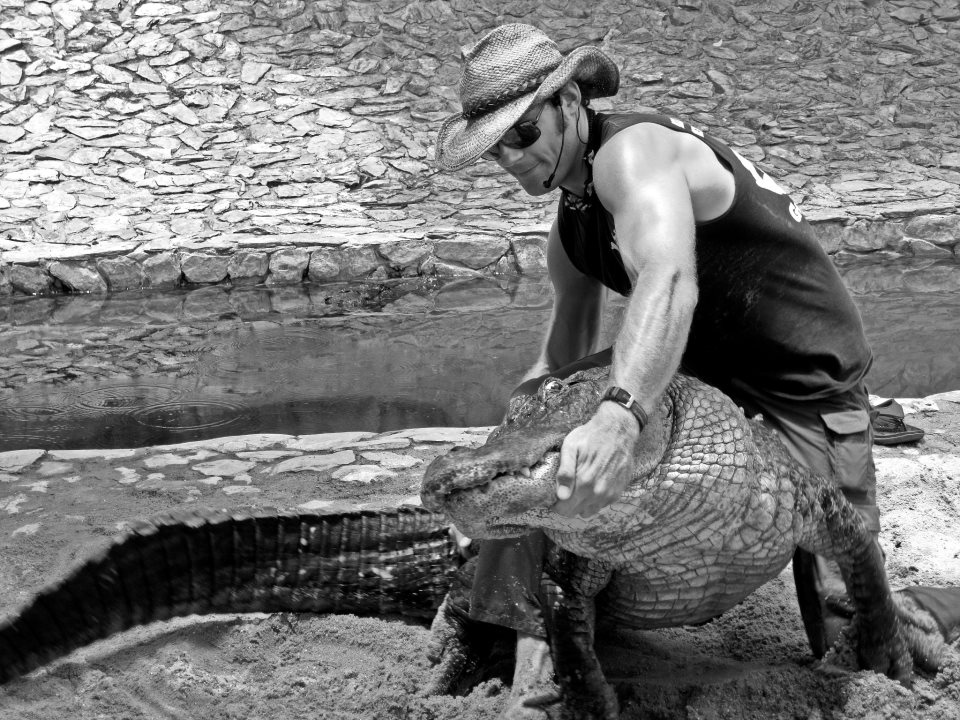 Wrestle with Gators